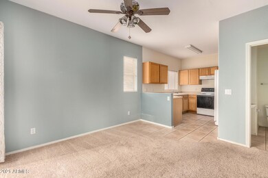 1010 W Janice Dr, Tempe, AZ 85283 - photo 5