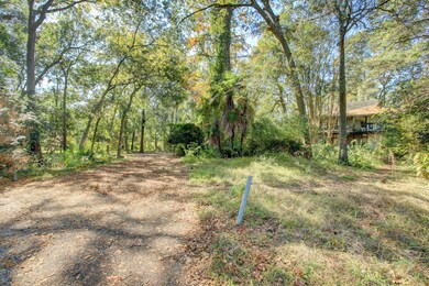 45 Stillforest St, Houston, TX 77024 - photo 3