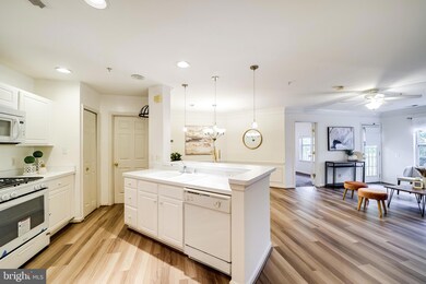 12501 Hayes Ct unit 303, Fairfax, VA 22033 - photo 5