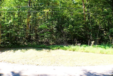 406 Harmony Ln, Burnside, KY 42519 - photo 4