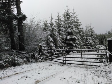 0 Gooseneck Creek Rd, Sheridan, OR 97378 - photo 2
