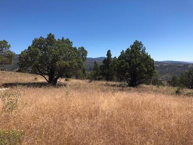 0 Belshaw Rd unit 220150479, Mount Vernon, OR 97865 - photo 6