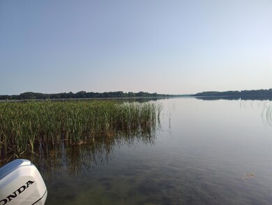 7077 10th Ave SW, La Grand Township, MN 56308 - photo 4