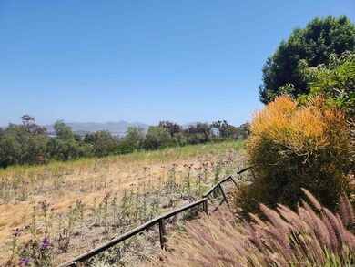 Open space behind the home