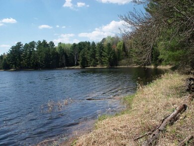 ON Eagle Waters Rd, Tomahawk, WI 54487 - photo 2