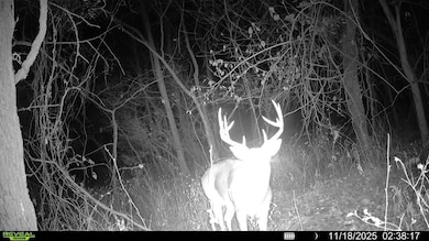 4379 Cr 2800, Coffeyville, KS 67337 - photo 3