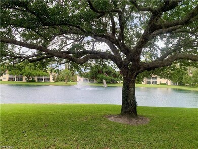 Water view