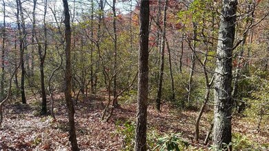 Level homesite with views