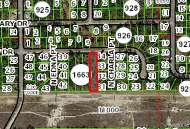 1142 W Riley Dr, Citrus Springs, FL 34434 - photo 3