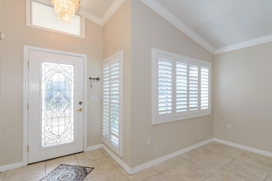 3079 Lahlor Ln, Palm Harbor, FL 34684 - photo 3