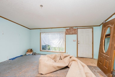 6300 Rutledge Rd, Alger, MI 48610 - photo 2