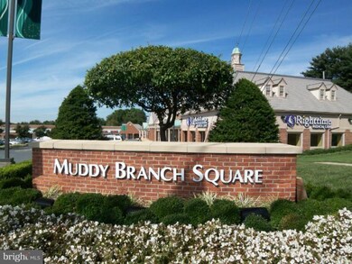 800 Amber Tree Ct unit 302, Gaithersburg, MD 20878 - photo 5