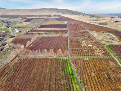 14306 W Acord Rd, Benton City, WA 99320 - photo 5