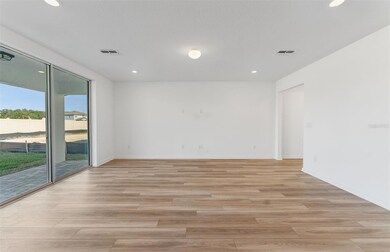 33417 Binding Ties Ln, Wesley Chapel, FL 33545 - photo 7