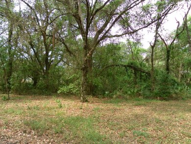 106 Mazie Dr, Zephyrhills, FL 33541 - photo 5