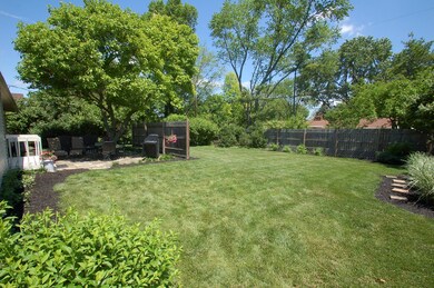 Backyard 2