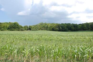 View from the road