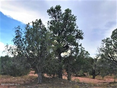 177 Juniperwood Ranch, Ash Fork, AZ 86320 - photo 5