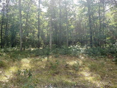 VL Gas Line Rd, Baldwin, MI 49304 - photo 4