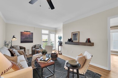 233 N Main St unit 405, Greenville, SC 29601 - photo 4