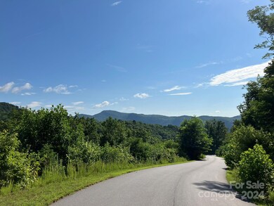 0 Grey Rock Pkwy unit 225 CAR4156895, Lake Lure, NC 28746 - photo 5