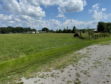 262 Old Hwy 910 unit 2, Russell Springs, KY 42642 - photo 3