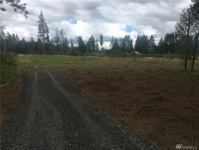 862 Highway 603, Chehalis, WA 98532 - photo 5