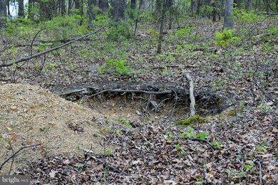 0 Catron Ridge Rd unit 1000405215, Bentonville, VA 22610 - photo 5