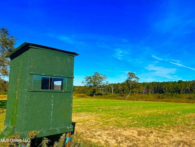 0 Darbun China Grove Rd unit 4132615, Sandy Hook, MS 39478 - photo 2