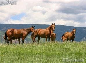 5499 Remuda Ranch Pkwy, Larkspur, CO 80118 - photo 6