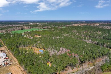 00 Myers Mayo Rd unit Lot 5, Ridgeville, SC 29472 - photo 4