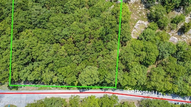 0 Cottontail Ln unit PM-134913, East Stroudsburg, PA 18302 - photo 5