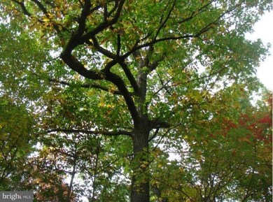 0 Mission Rd unit 1003986339, Harpers Ferry, WV 25425 - photo 3