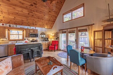 32209 Rambo St, Damascus, VA 24236 - photo 3