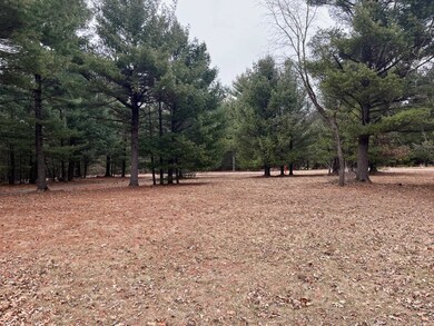 889 Elk Ave, Adams, WI 53910 - photo 3