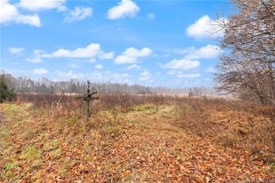 8500 W South Old Highway 11 SE, Laconia, IN 47135 - photo 3