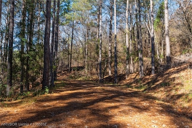 TBD Bear Hollow Rd, Fort Smith, AR 72916 - photo 2
