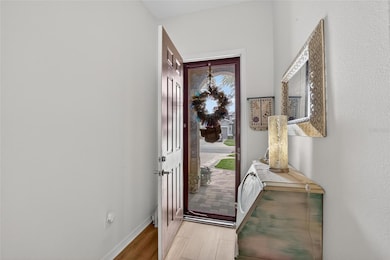 5069 Inshore Landing Dr, Apollo Beach, FL 33572 - photo 6