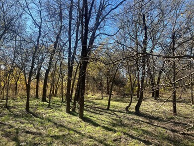 3167 Farm To Market 4, Cleburne, TX 76033 - photo 4