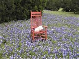 7149 Sandy Oaks Dr, Whitney, TX 76692 - photo 6