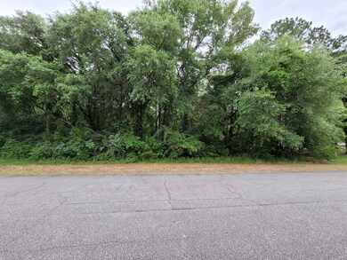 1415 Broach Ave, Putney, GA 31705 - photo 3