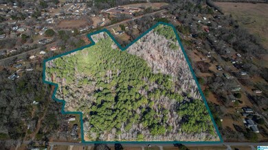 0 Marble City Heights Cir unit 21405884, Sylacauga, AL 35150 - photo 2