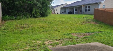 Back yard