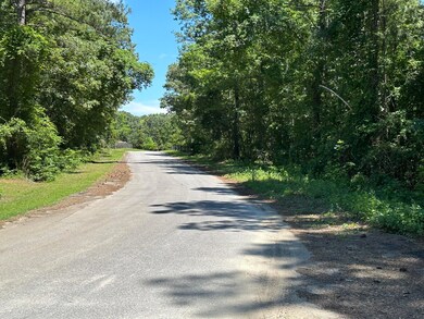 00 Sorin Cir, Elloree, SC 29047 - photo 4