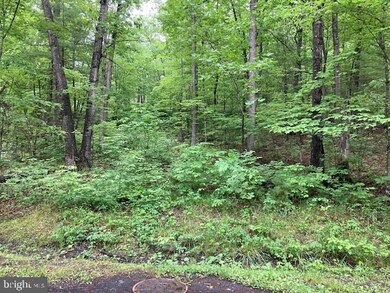 0 Susan Rd unit VASH2003412, Basye, VA 22810 - photo 3