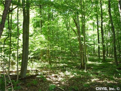 Land. Light Canopy of woods covering approximately