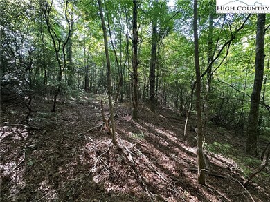 Lot 15C Cielo Ridge Way, Purlear, NC 28665 - photo 7