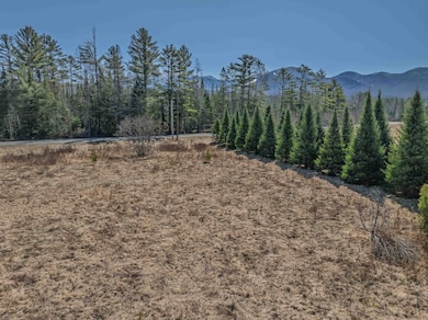 25 Lafayette Rd, Franconia, NH 03580 - photo 7