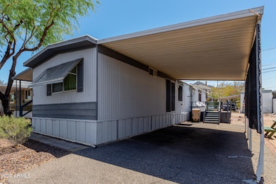 03 Cave Creek