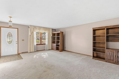 FrameandFocus_Parkwood-6